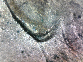 1995-D-Lincoln-Cent-Double-Earlobe-?